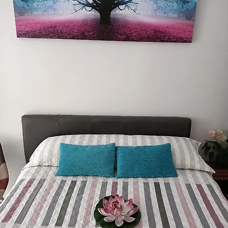 Apartment Estudio Emma