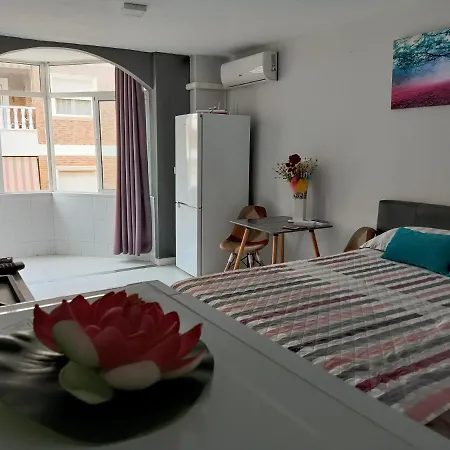 Estudio Emma * Torrevieja