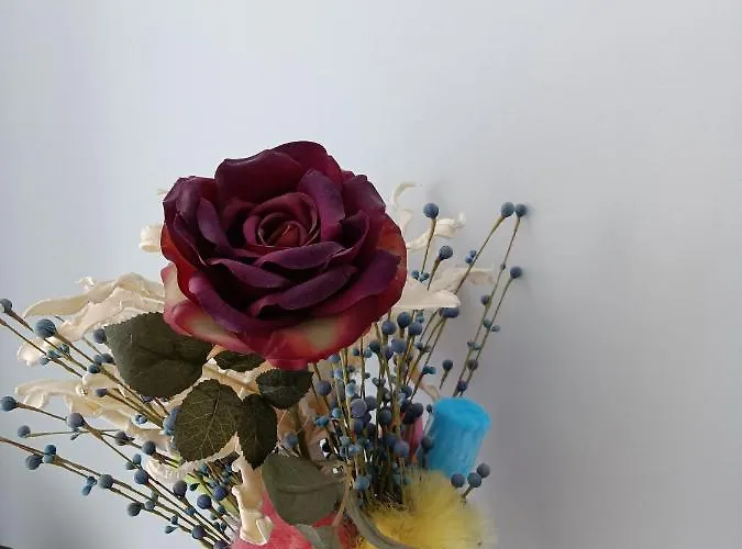 דירה Estudio Emma